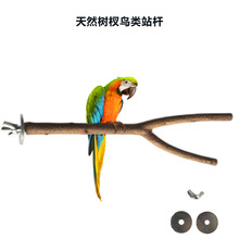 鸟站杆天然树杈鹦鹉站架磨爪栖息啃咬树枝鸟笼用品小鸟类玩具批发