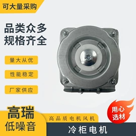 微型电动机;注塑加工;冲压加工