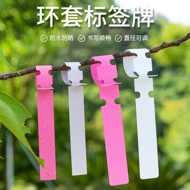 Набор колец из ПВХ, этикетка для рассады, этикетка для суккулентов, этикетка для цветов, садоводческая этикетка, этикетка с пряжкой, садовые принадлежности