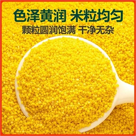 玉米;杂粮组合;冷冻蔬菜