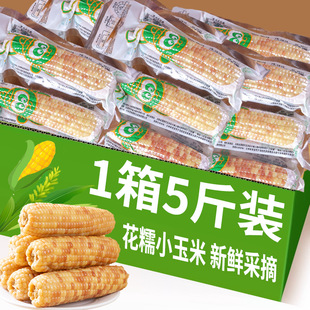 5�� ������p��{��ŴС�������r������Ŵ����װ���ռ�ʳ���