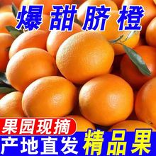 �������rĚ�����r����ˮ�������������l��Ƥ�����ȱ��ǳ��M�ϵďS