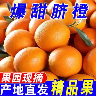 �������rĚ�����r����ˮ�������䱡Ƥ�����ȱ��ǳ��M�ϵ�