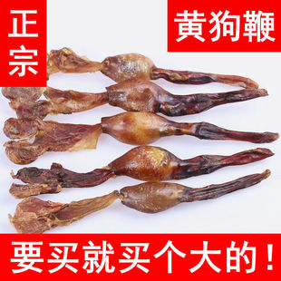 厂家直销狗药材鞭 狗用干鞭黄狗肾黑狗 新鲜泡酒中药材鞭狗煲汤-阿里巴巴