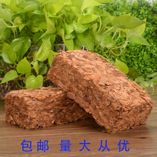 �m�ƻ��� ��Ҭ�K Ó�} Ҭ�u ���ݰl�Gֲ�@ˇ�Bֳ����Ҭ����