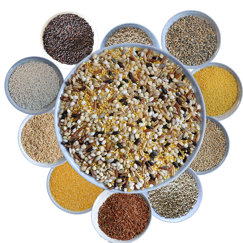 ʮ����������������ܷ����װ�����ز���ʳ����Ӫ�������׻��