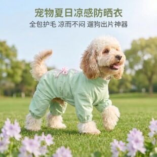 �p��͸��Ƥ�w�·����¹����·�������x�����ɿ����������Lë���o