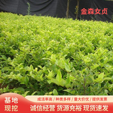 ɭŮؑt^ľt~ʯɫKhʠļdӽɭŮؑ