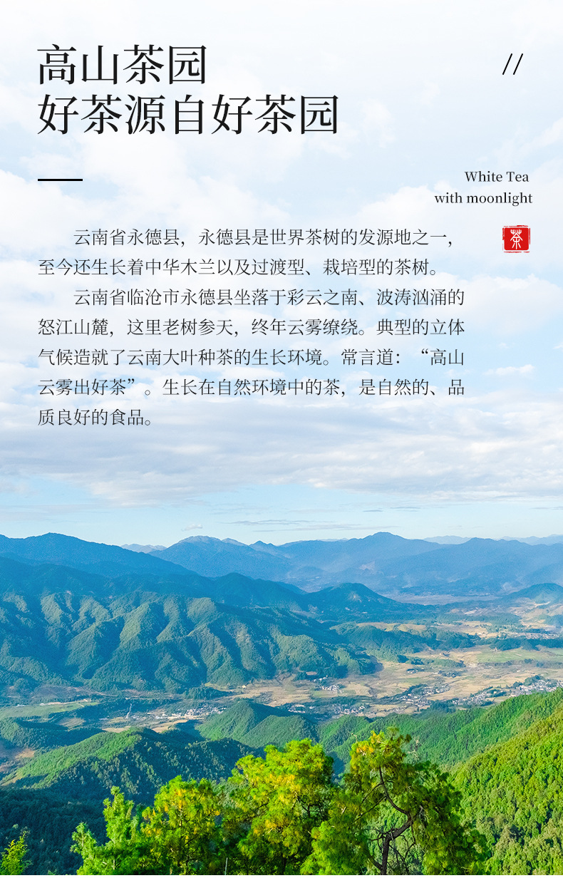 详情_05