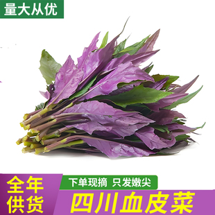 �Ĵ�ѪƤ�����r�߲ˮ����ϱ�����ؐ���ϱ�����^�����r�Ҽt��Ұ��