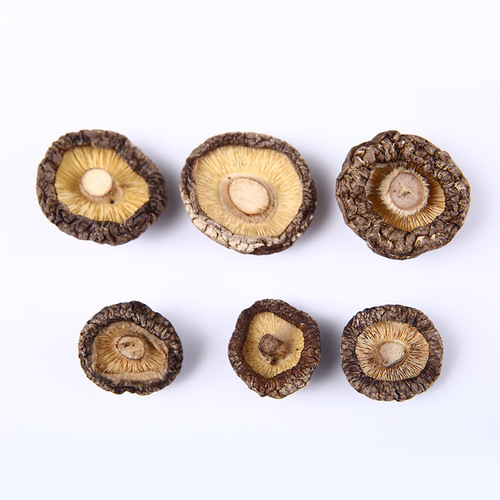 Home Use Dried Shiitake Mushrooms in Independent Bags, Bulk Packaging for Restaurants, Hotels, and Commercial Use, Thick-Fleshed, Rootless, Gold Coin Mushrooms, Winter Mushrooms, Dry Goods Wholesale