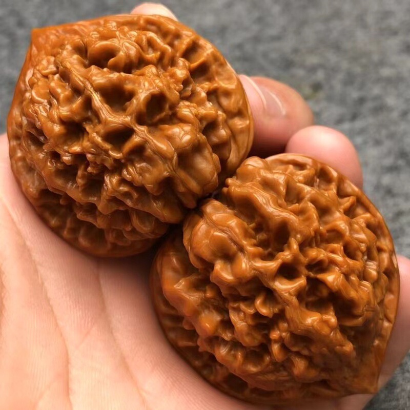 逸品の文はクルミの特大の麒麟のメーカーを遊んで、手の皿のクルミを卸売りして遊んでいます。|undefined