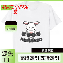 Gym Fitness Pumpernickel Rabbit Weightlifting T Shirt Squat
