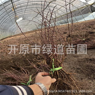 �ذ��S��õ���煲���S��õ��Ֆ|���ͺ��S��õ��С����������