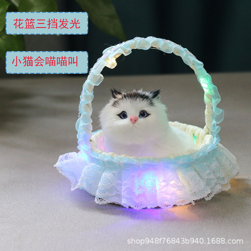 빛나는 바구니 (파란색) 검은 귀 스쿼트 고양이는 짖을 수 있습니다.