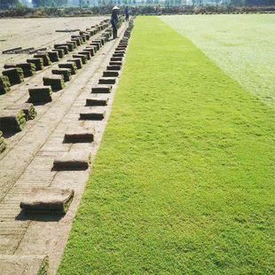 ů�������òݲݾ� �@�ֹ��@������Ľ���ƺ �G�����̽Y�|�����Ƥ