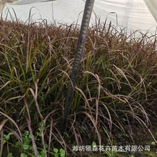 ���~��β�� С������β�� �ݻ��������l �^�p�ݵ����������~�ǲ�