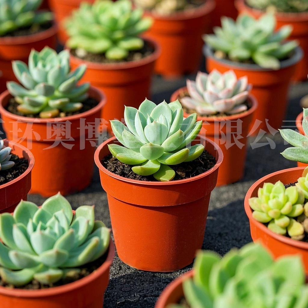 Фабрика в наличии Черный полипропилен Садоводство Маленький цветочный горшок утолщенная Скандинавская простая садовая бутылка для посадки цветочный горшок многоразмерный