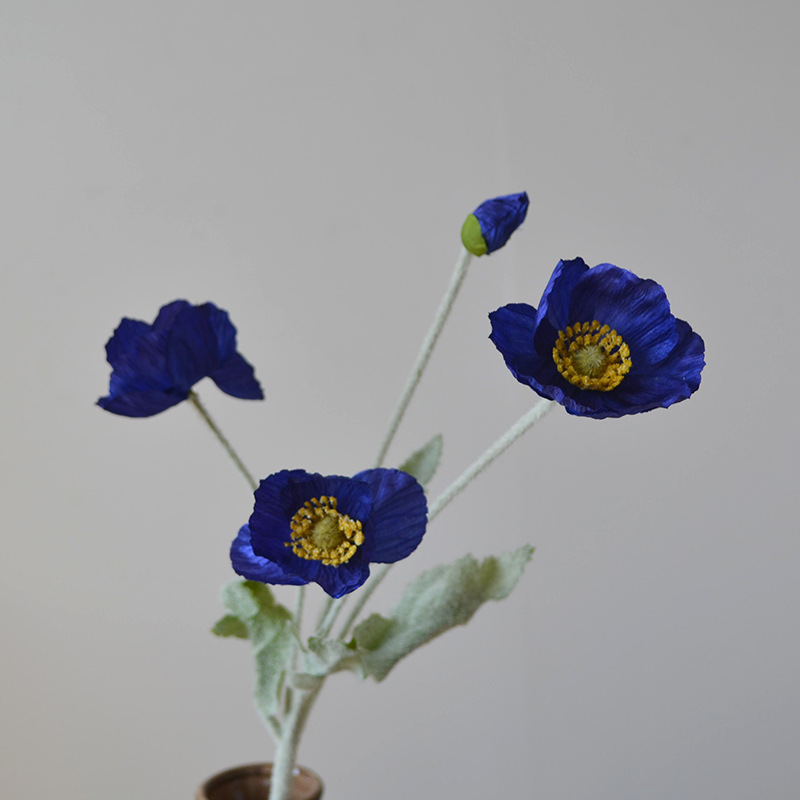 진한 파란색 보라색