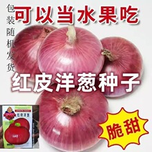 �N����Ƥ�ɷN�����[�ļ�һ���ļ��߲˷N���͸ߜ��͟����[����ˮ��