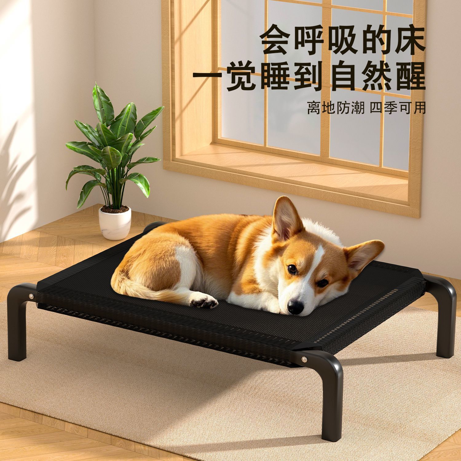 详情图
