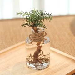 透明模造ガラス植木鉢純水培緑植シンプル新樹脂栽培鉢現代デスクトップ小植木鉢卸売り