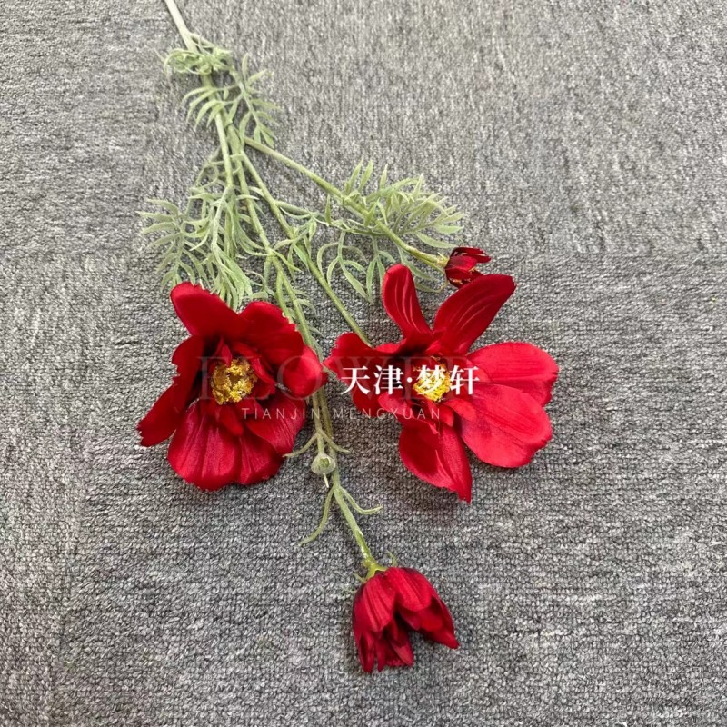 로즈 레드