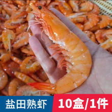 �}�����r���r���r������r��Ʒ���d�����r���r���ƾƘ�����������