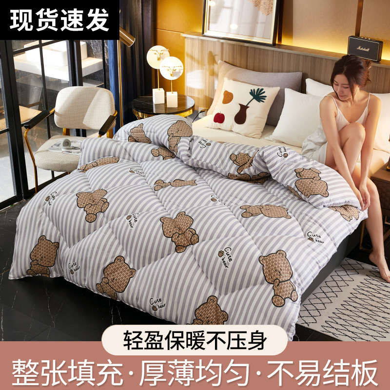 줄무늬곰 [퇴색하기 쉽지 않음丨가벼움과 따뜻함]
