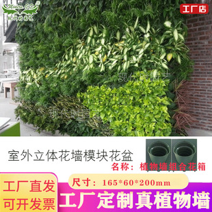 �������w�Nֲ���B���Ԅӝ�ˮ���ϵ�y�҃��⾰�^��������S�ҹ���