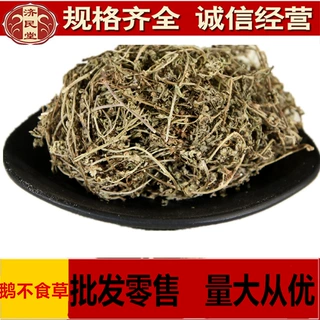 鹅不食草  鹅不食草 饿不吃草   500克 初级农产品大货批发