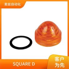 SQUARE D ��λ���� 9001SKP35LWW9 ����Ԫ���� ȫ�¹�Ӧ