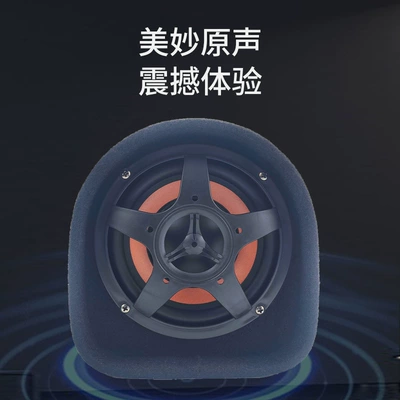 High-Power Active 6/8/10/ 12inch: Car speaker/subwoofer