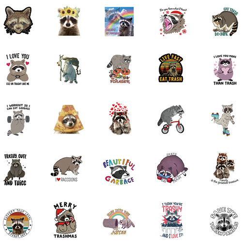 50 new Amazon cartoon raccoon stickers for computer laptop luggage waterproof DIY graffiti stickers