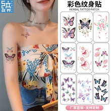 ��ɫ�����N����ˮ�־���Ůϵ�������Ը�С���¼y���N