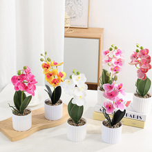 �羳��������A�����^�����m���滨��ʽ�Ҿӷ��滨���Ԕ[���b�