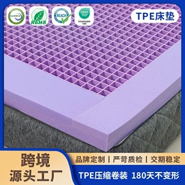 记忆枕;其他枕芯;功能枕