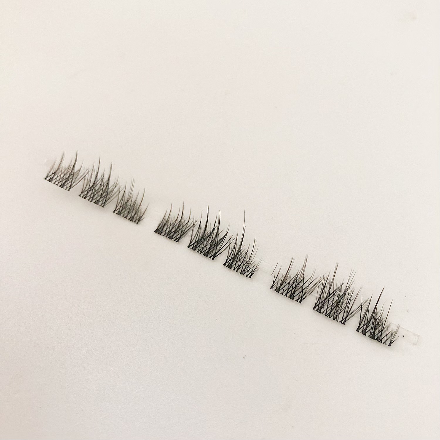 Diente de león sésil