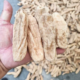 儿童读物;社科生活;四件套