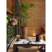 �JȔ�����񺟴��������T�����ຟ���̨�b���ꖏ͹ŶU����ʽ�ݺ�