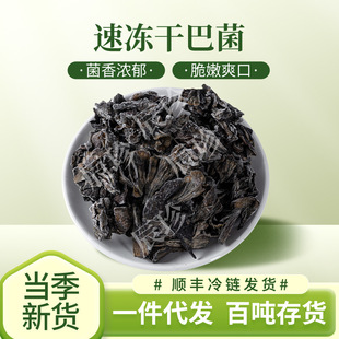����ك��ɰ;�Ұ������Ģ�����ʳ���ك��ɰ;����Sţ�ξ�
