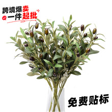 TEMU ���R�d�����ϙ�֦�����پGֲ�҃��b����쾰�ϙ��~��֦�ϙ�