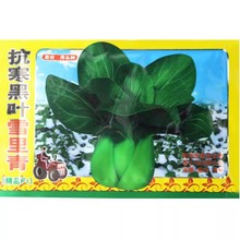 _ͺ~ѩN ๣Ѻ~Ͳ̨ļ߲