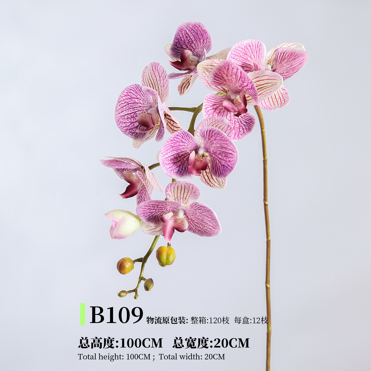 B109