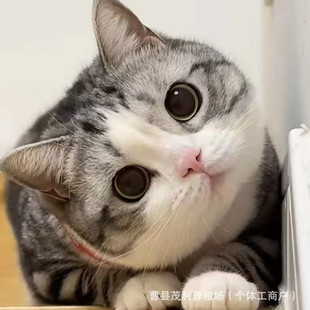 ���N����С؈��؈�ӷ�؈����؈�������_؈���w�ϼ�����؈�B��ֱ�l