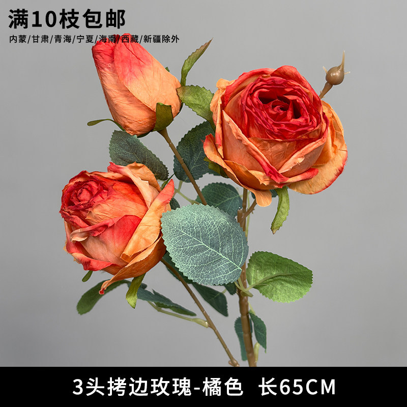 3头拷边玫瑰