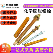 高强度化学锚栓锚固定型幕墙建筑热镀锌化学药剂药水光伏膨胀螺栓
