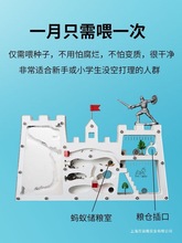 ���b��Λρ�Ǳ�Λρ������ρ���ьW���^��ρ�������ݼ҈@��Ѩ