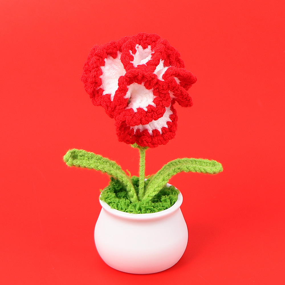 Carnation Pot - Gradiente Rojo