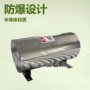 防爆在线半导体氮气加热器
